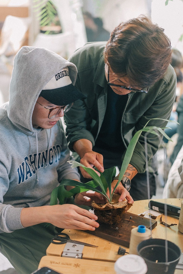 CornerGreen植角|植栽教學・森學【鹿角蕨居家佈置及上板課程】體驗工作坊-11