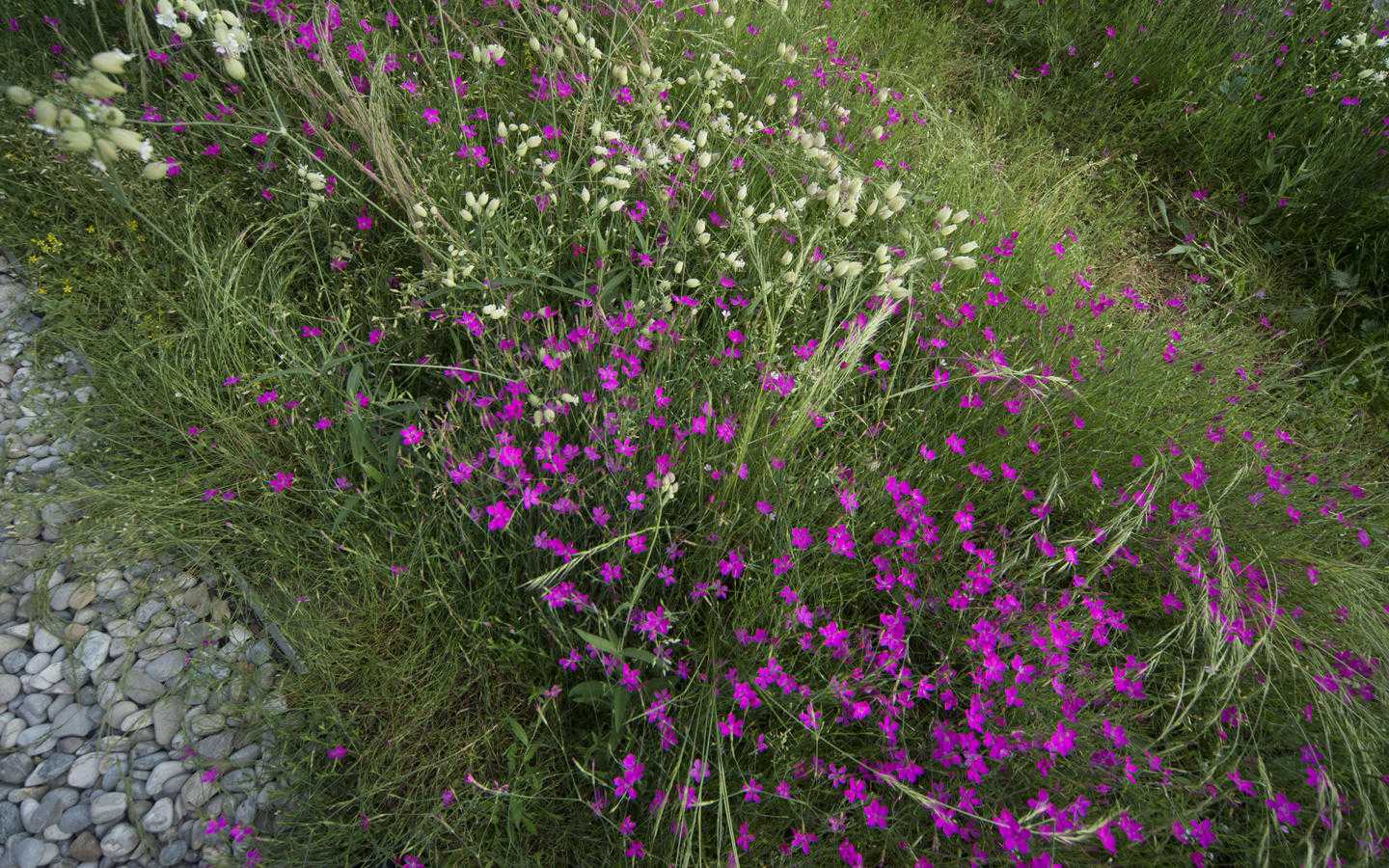 德国慕尼黑西门子总部公共庭院设计丨Henning Larsen 建筑师-8