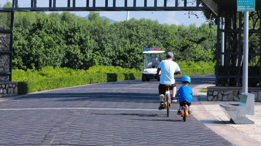 深圳 Citywalk 建筑漫游丨中国深圳丨华阳国际-17