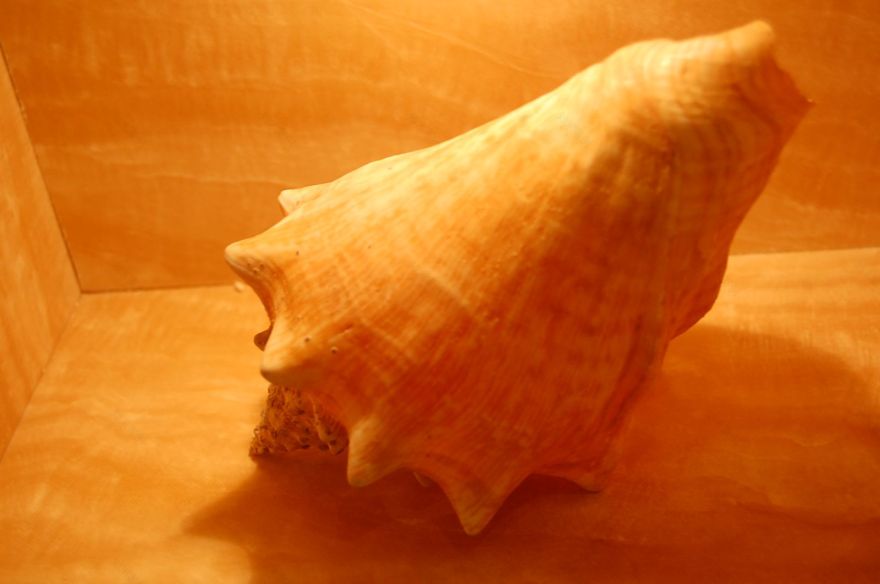 公园大道工作室-21