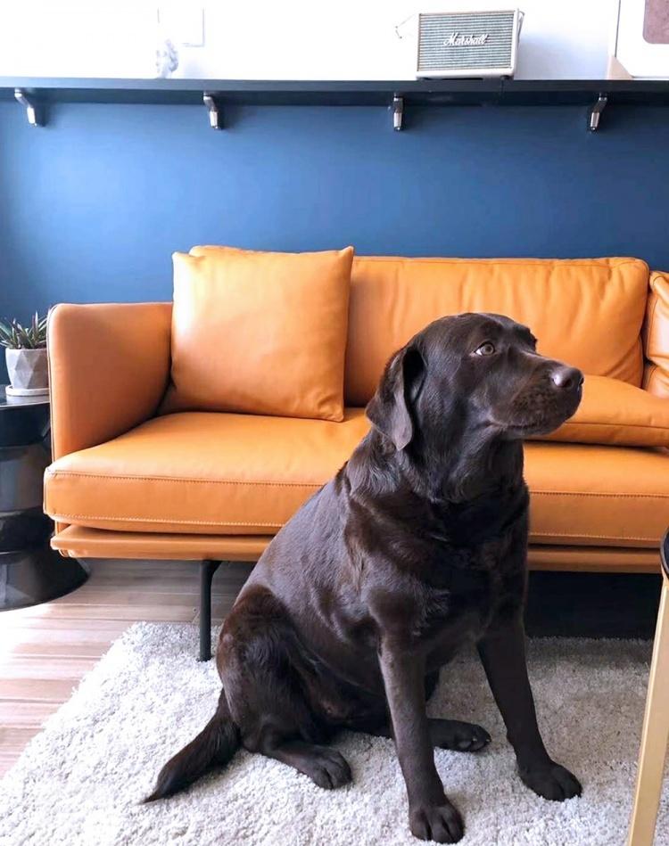 玖雅丨“凹”型墙破局绝招，小户型大变身-95