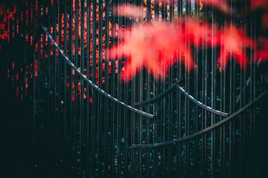 璀璨星河 | 南京高淳金茂逸墅-63