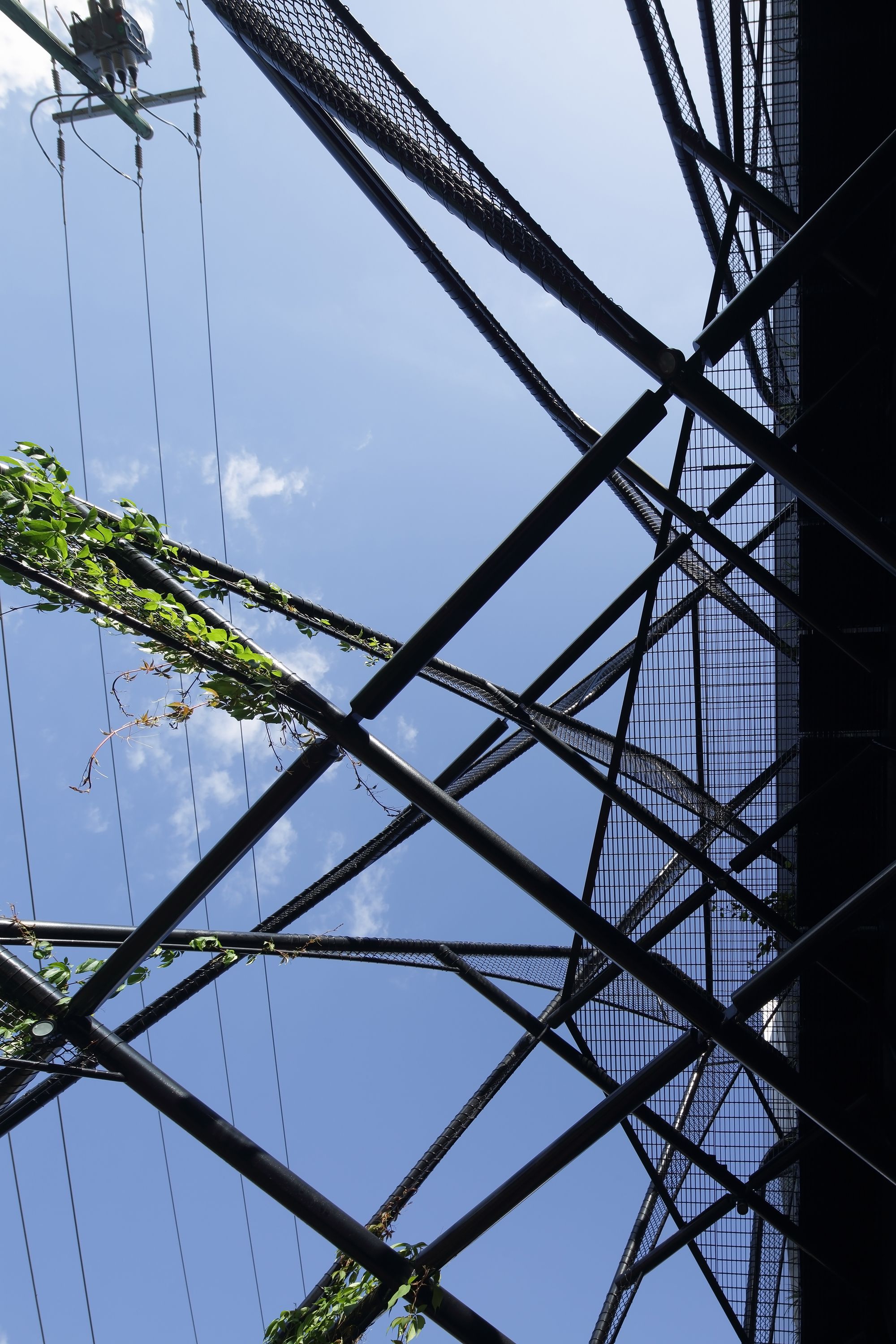 梅尔罗斯健康-31