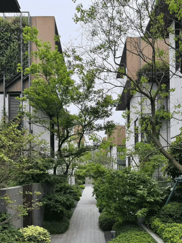 新作 极限容量下的院落空间实验 ：杭丨中国杭州丨孟凡浩-line+-19