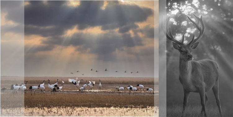 盐城金辉通银·云尚售楼处丨中国盐城丨北京德方圆文化创意有限公司-3