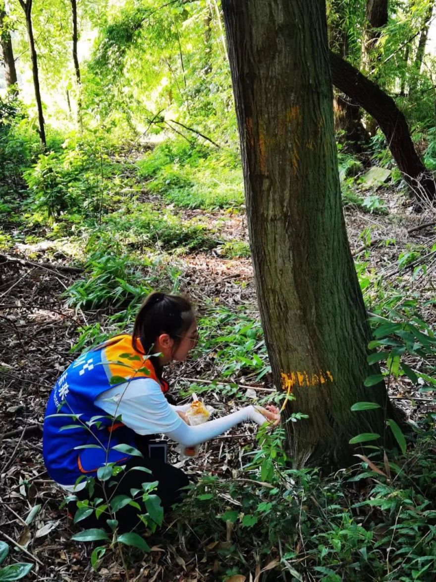 DDM 梦景未来 · 2021 年度获奖项目集锦-253