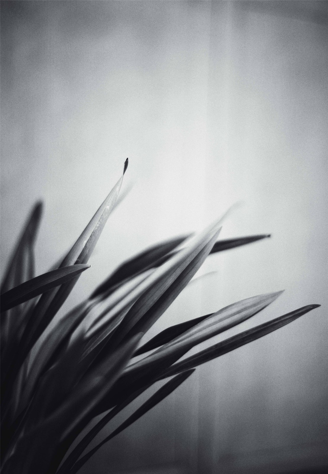 游离· 设计汇合 · 宝鸡 210㎡现代东方气质空间-29