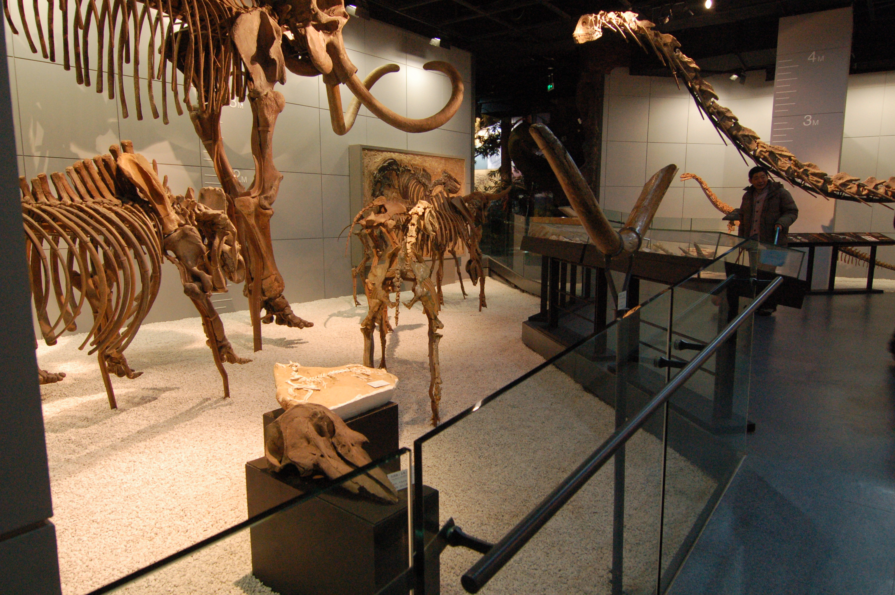 博物馆城市规划馆-11