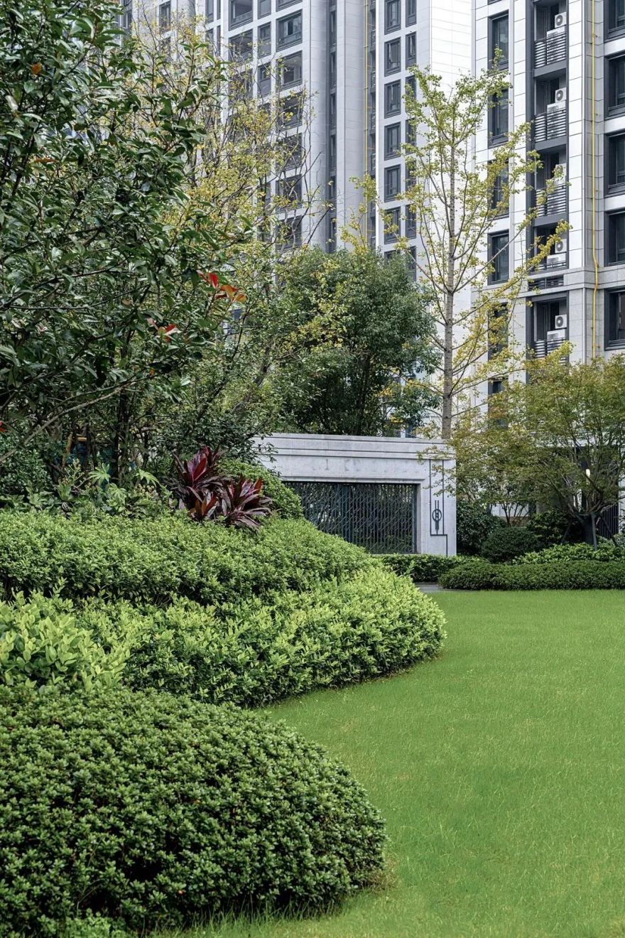 绿意盎然,寻觅幸福感的植物设计丨伍道国际-56