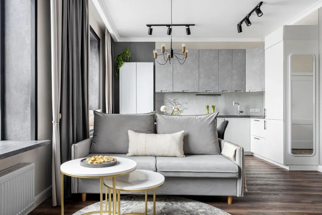 40㎡灰色小公寓设计丨Alana Kalabekova-0