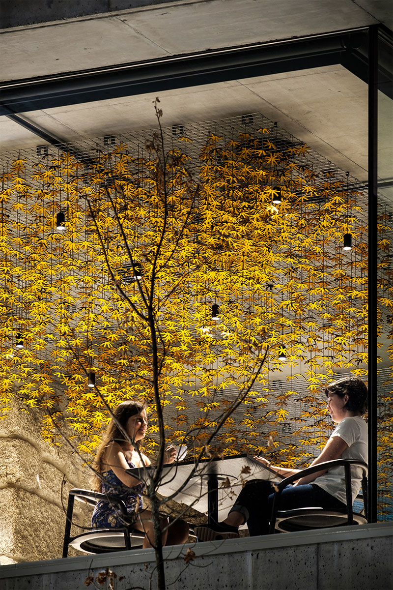 Casa de Sao Lorenco（葡萄牙山景酒店）-30