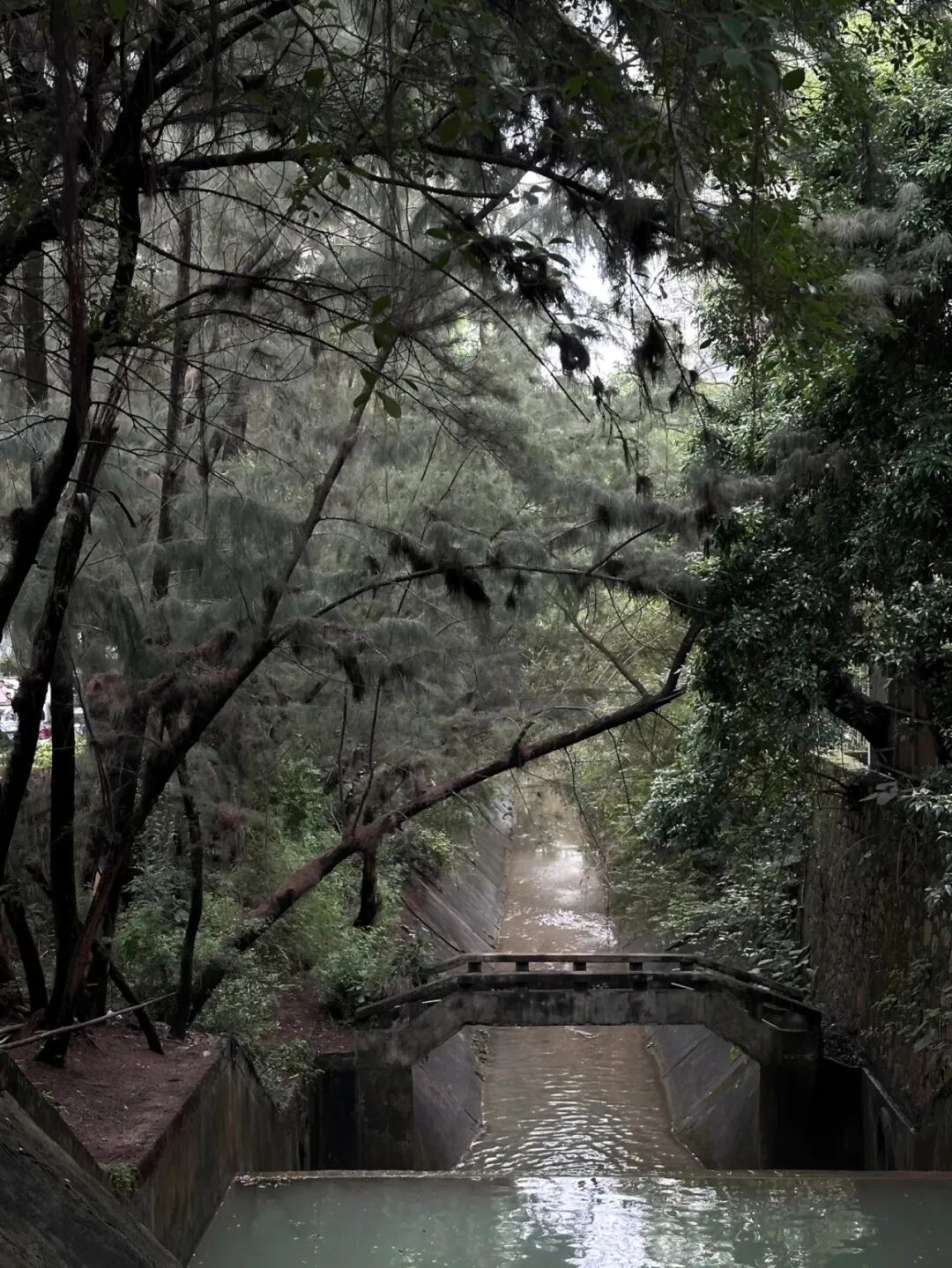 茅台鉴藏馆丨中国深圳丨BLOOMDESIGN绽放设计-1