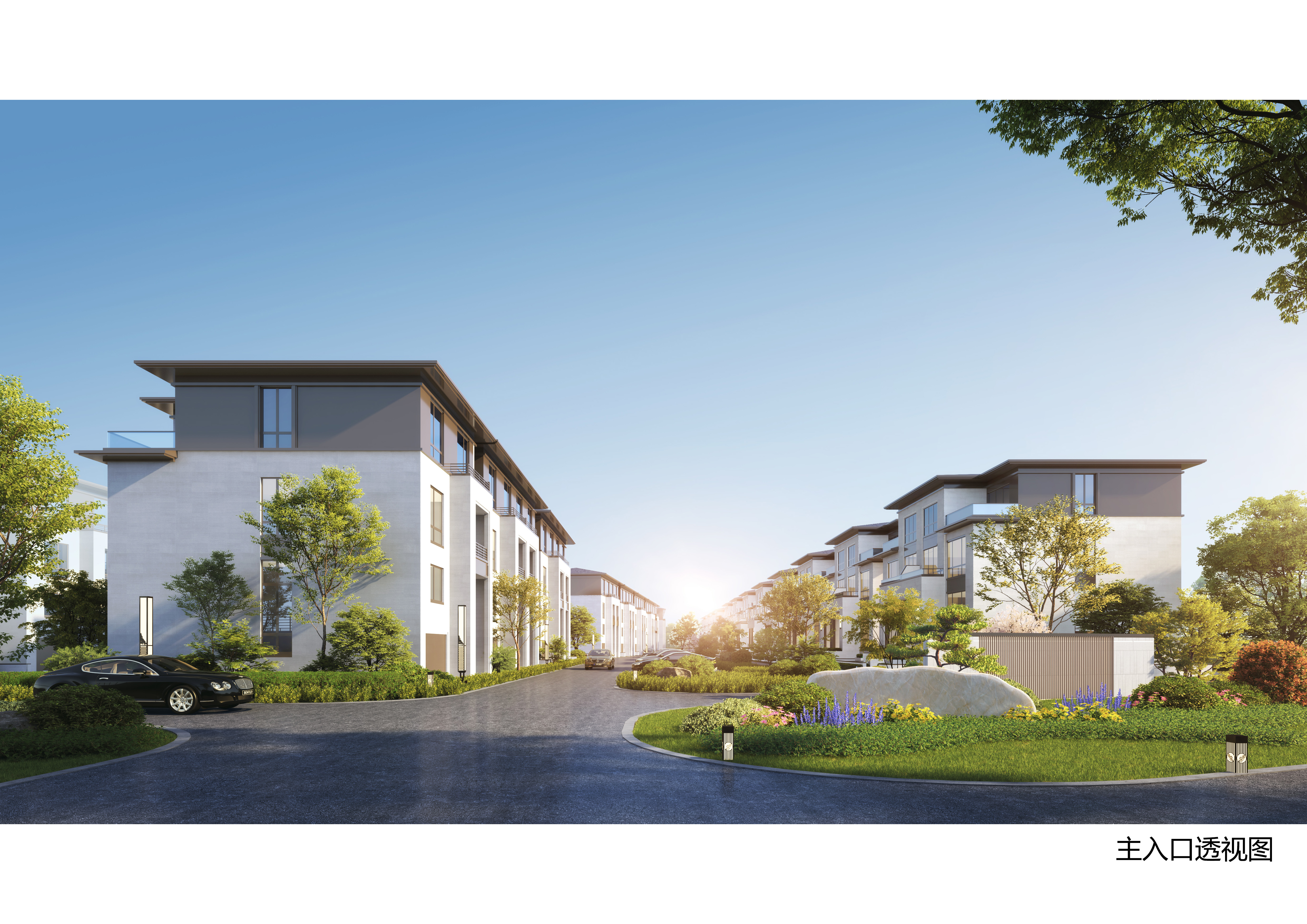 OLD 狗近年作品丨中国杭州-3