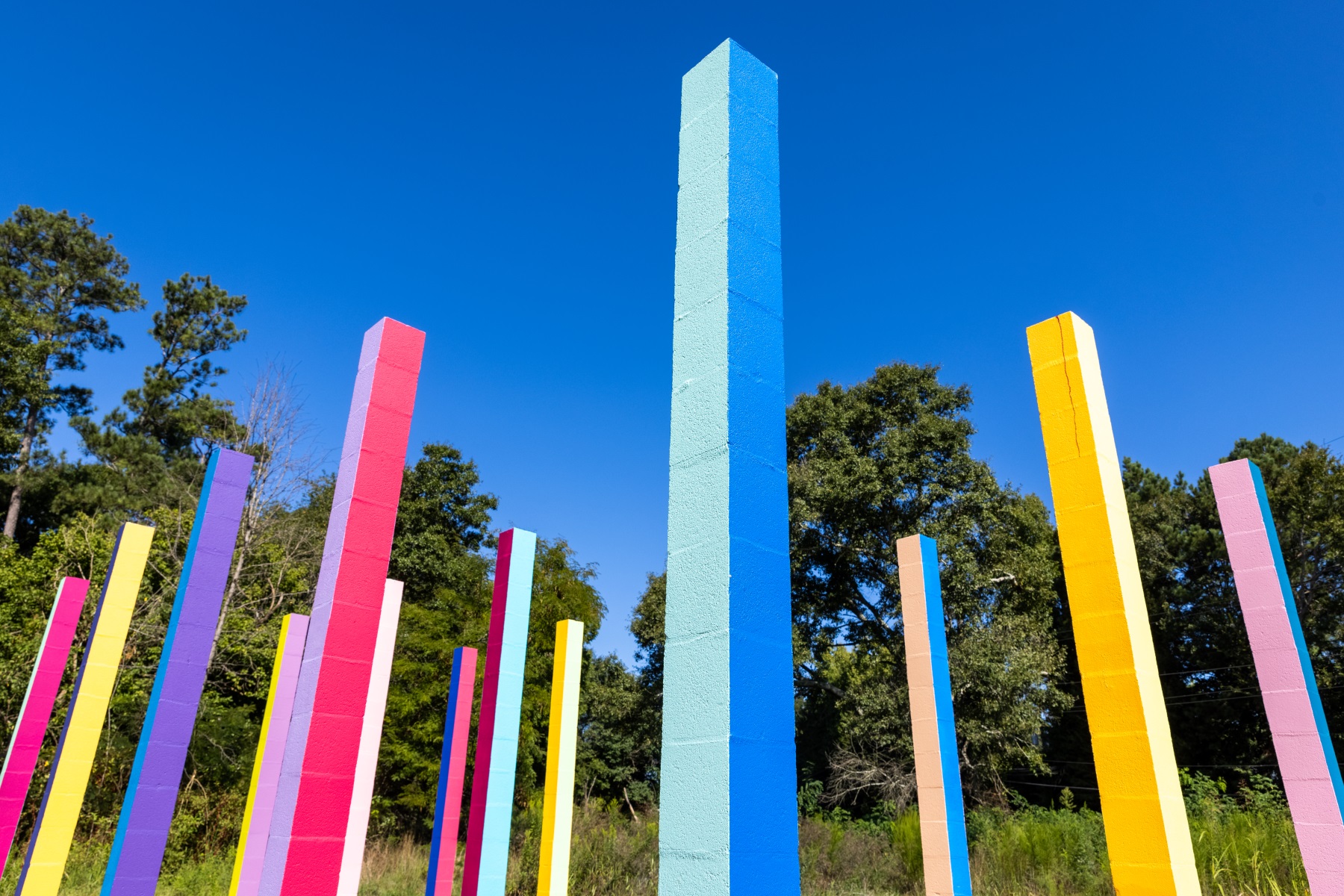 彩虹森林丨美国丨Office Kovacs-28