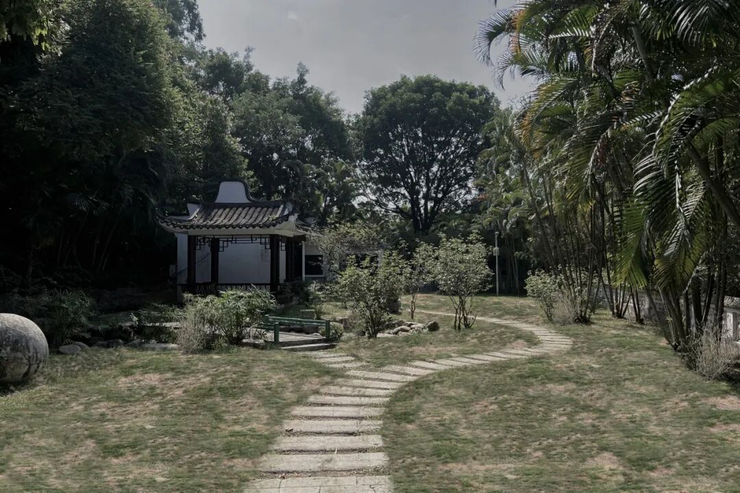 深圳园博园：用公园打开城市生活新方式-40