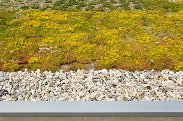 Hardenberg动物诊所项目-21