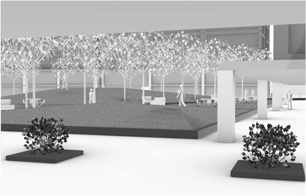 组装苹果项目丨哥伦比亚-33