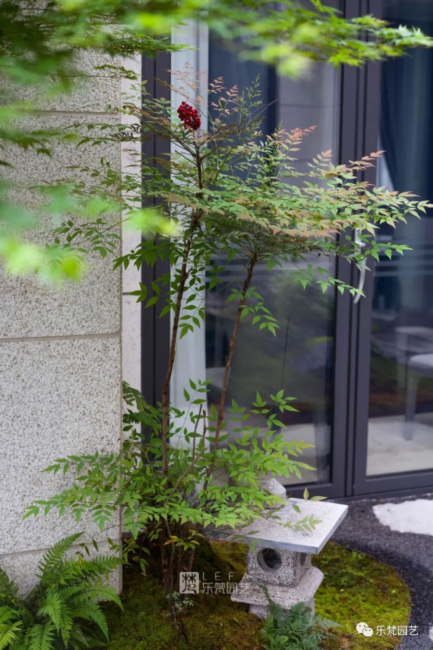 涵麓渡W会所花园丨中国成都丨成都乐梵缔境园艺有限公司-112