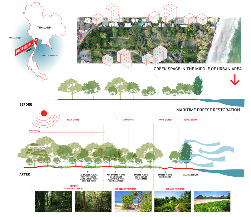 The Standard 度假区景观设计丨泰国丨Shma-61