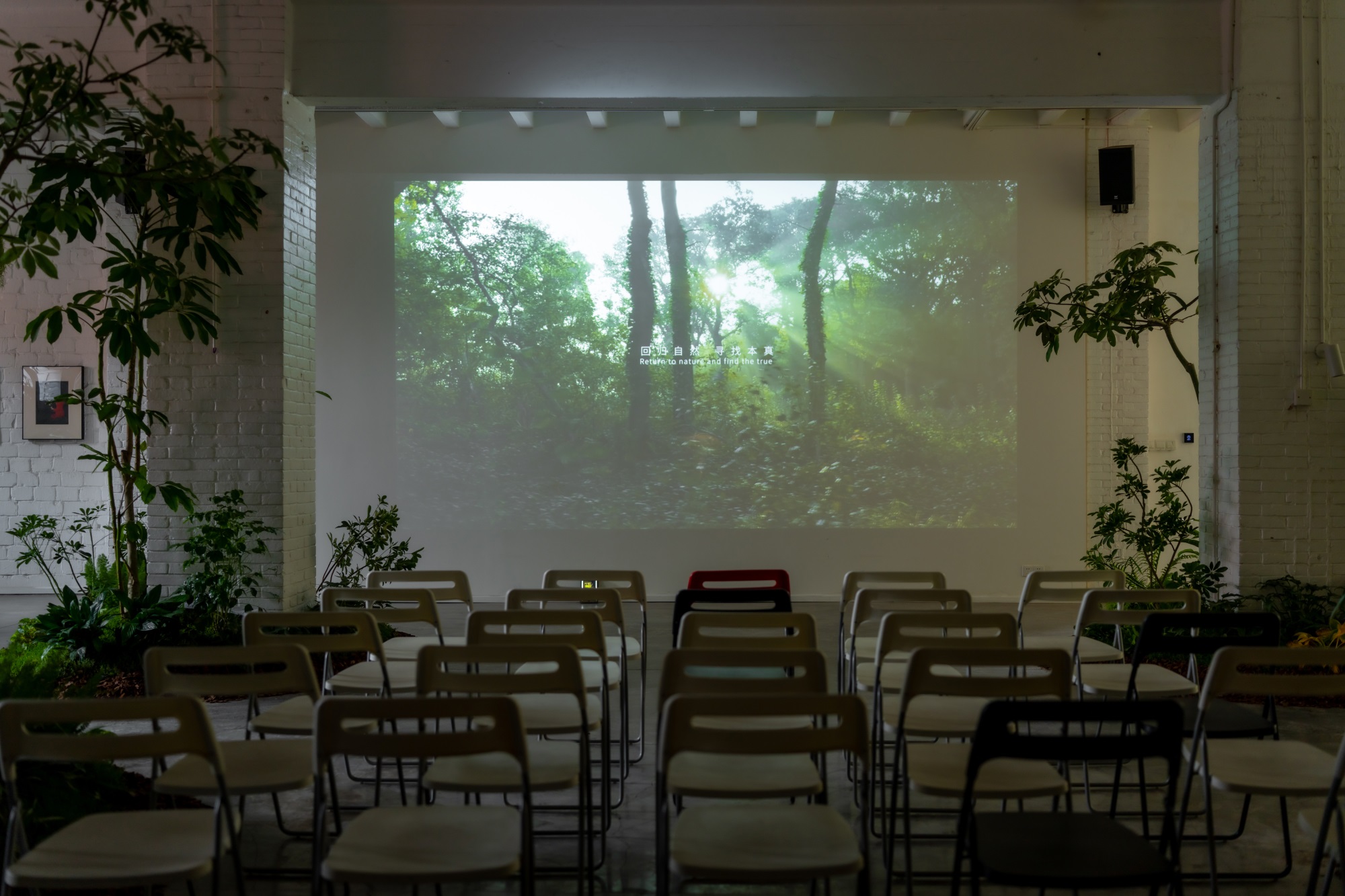 WE HOUSE 物候自然展厅丨我们在办公室造了一个植物园 / 物候设计-56