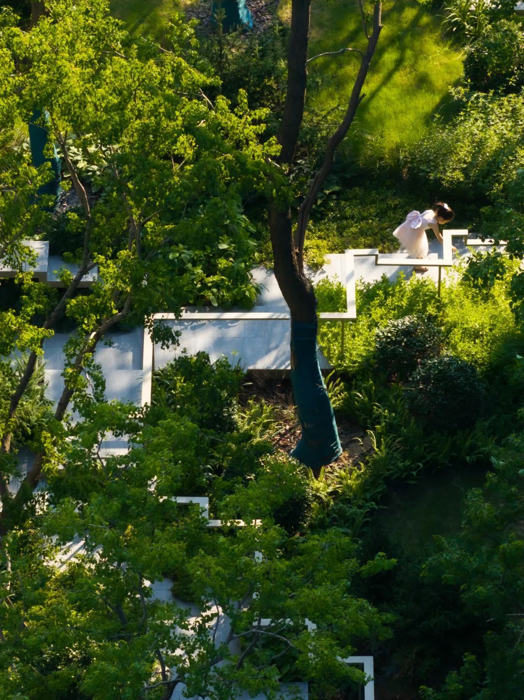 TROP|仁恒海上源大区--纵横光影海上森林-95