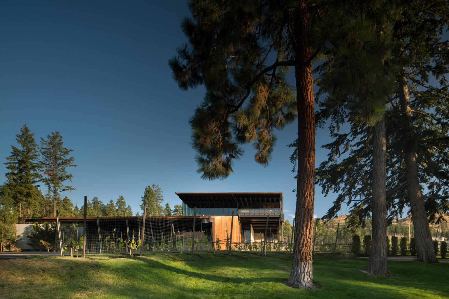 马丁巷酒庄·冯·曼德尔家族的重力酿酒传奇-40