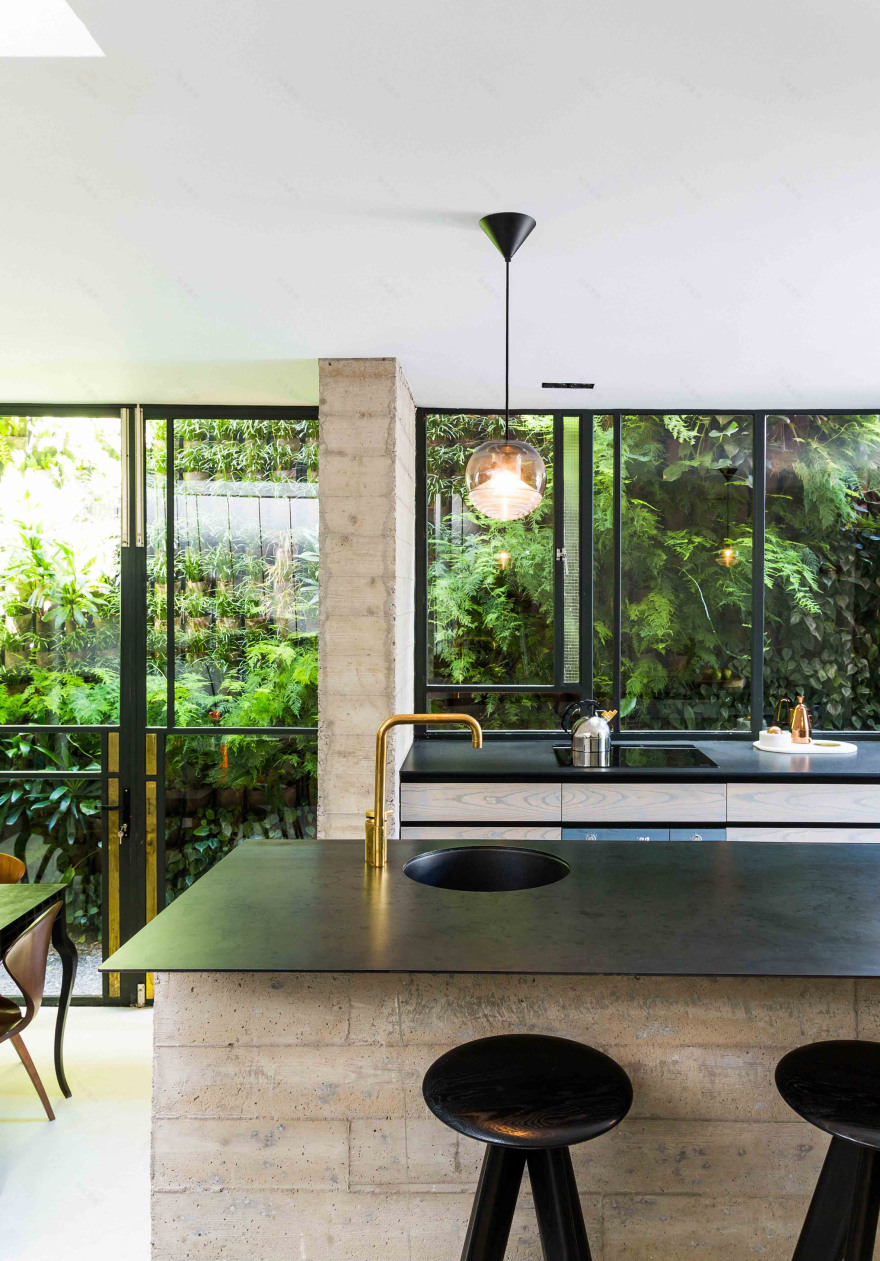 Rooftop pool and vertical garden feature in Fold Architects' pink Cape Town house-20