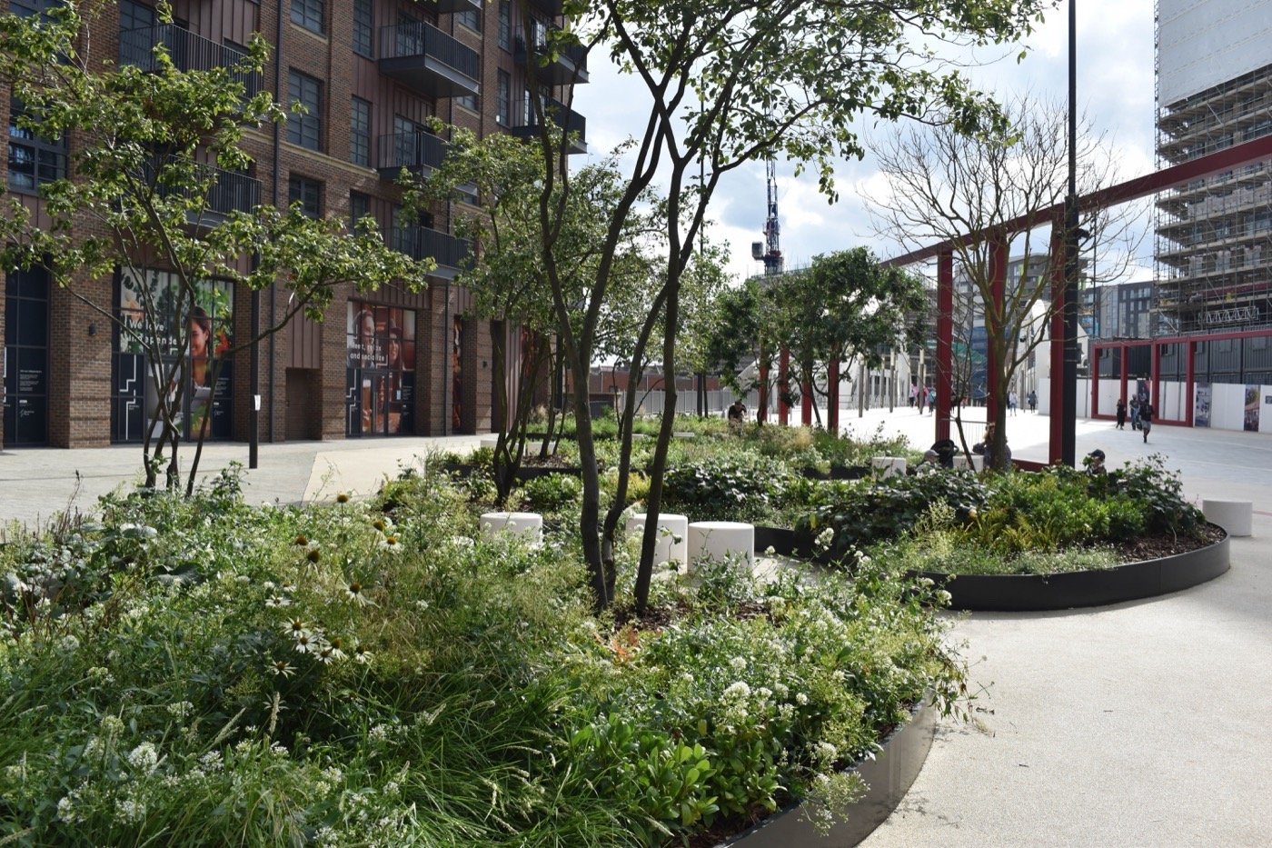 英国白马广场丨DSDHA-5