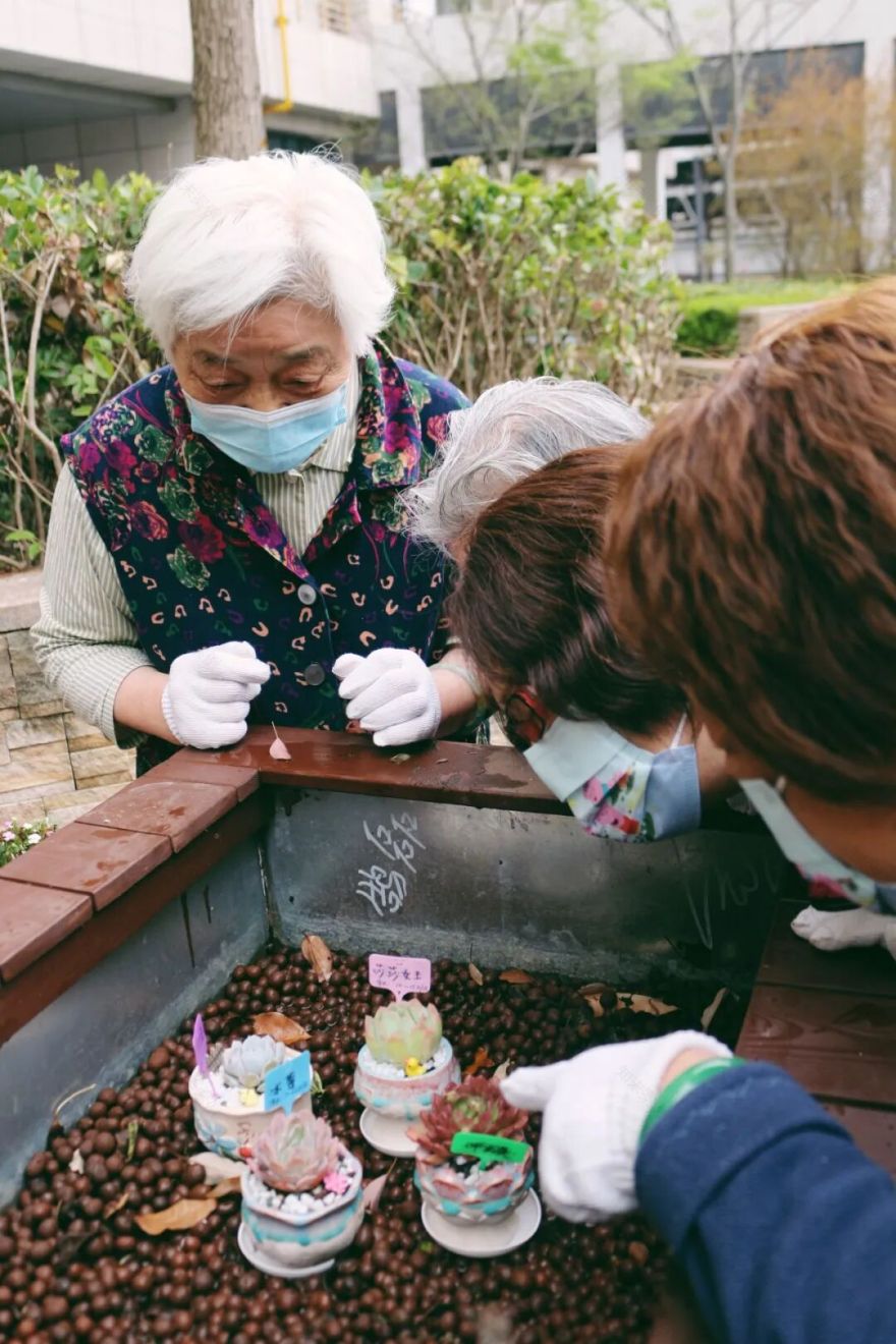 用植物疗愈时光,以设计重塑银龄价值|春日系列工作坊回顾-88