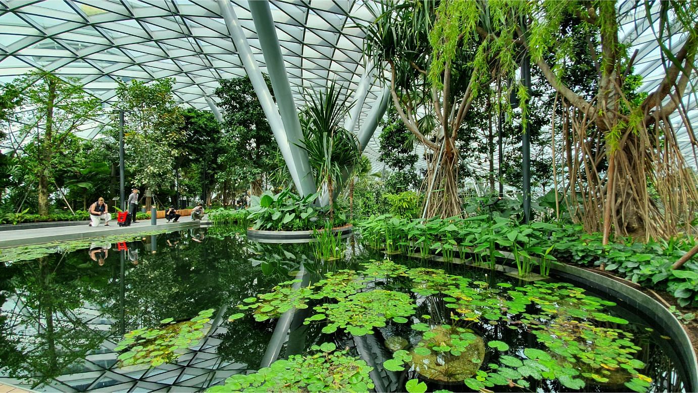 Jewel Changi Airport（新加坡樟宜机场宝石项目）丨Moshe Safdie-19
