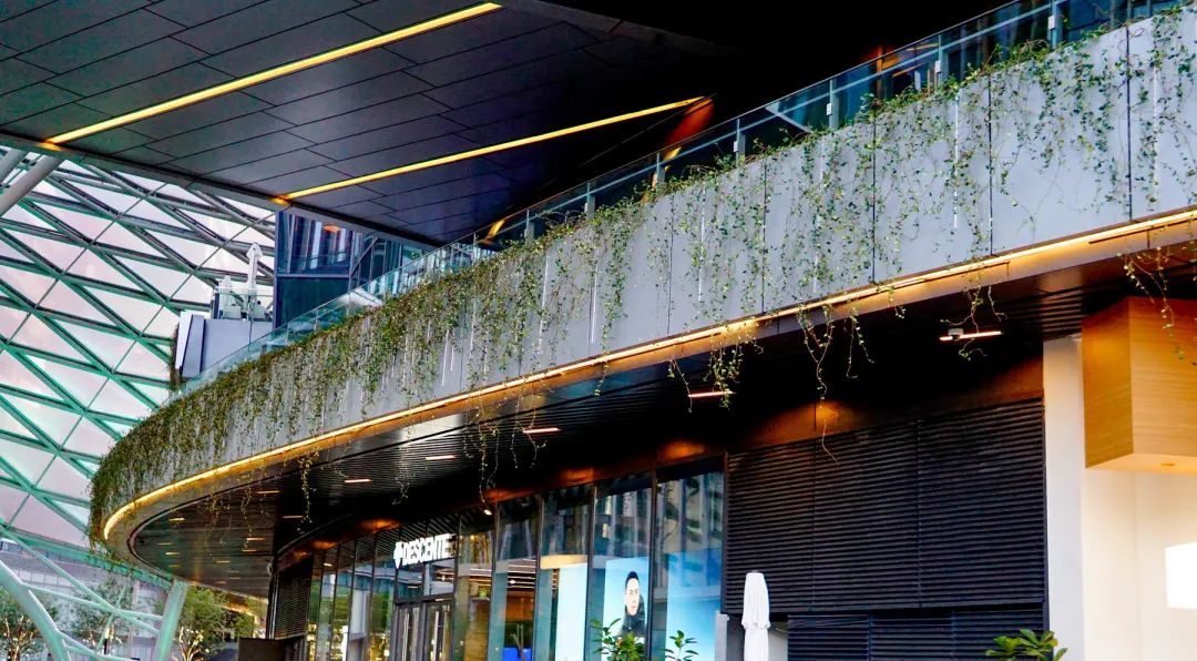 深圳华润万象前海商业花境设计及落地丨中国深圳丨深圳本末度景观设计有限公司-90