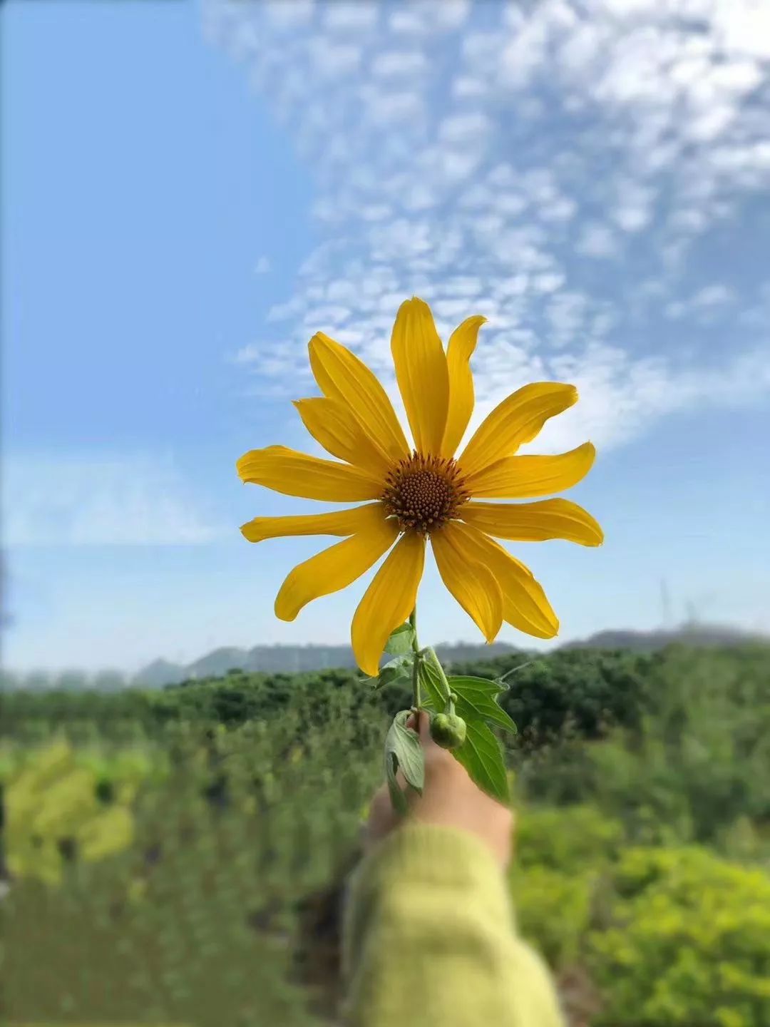 广州 115㎡女孩之家,纯软装打造文艺生活空间-7