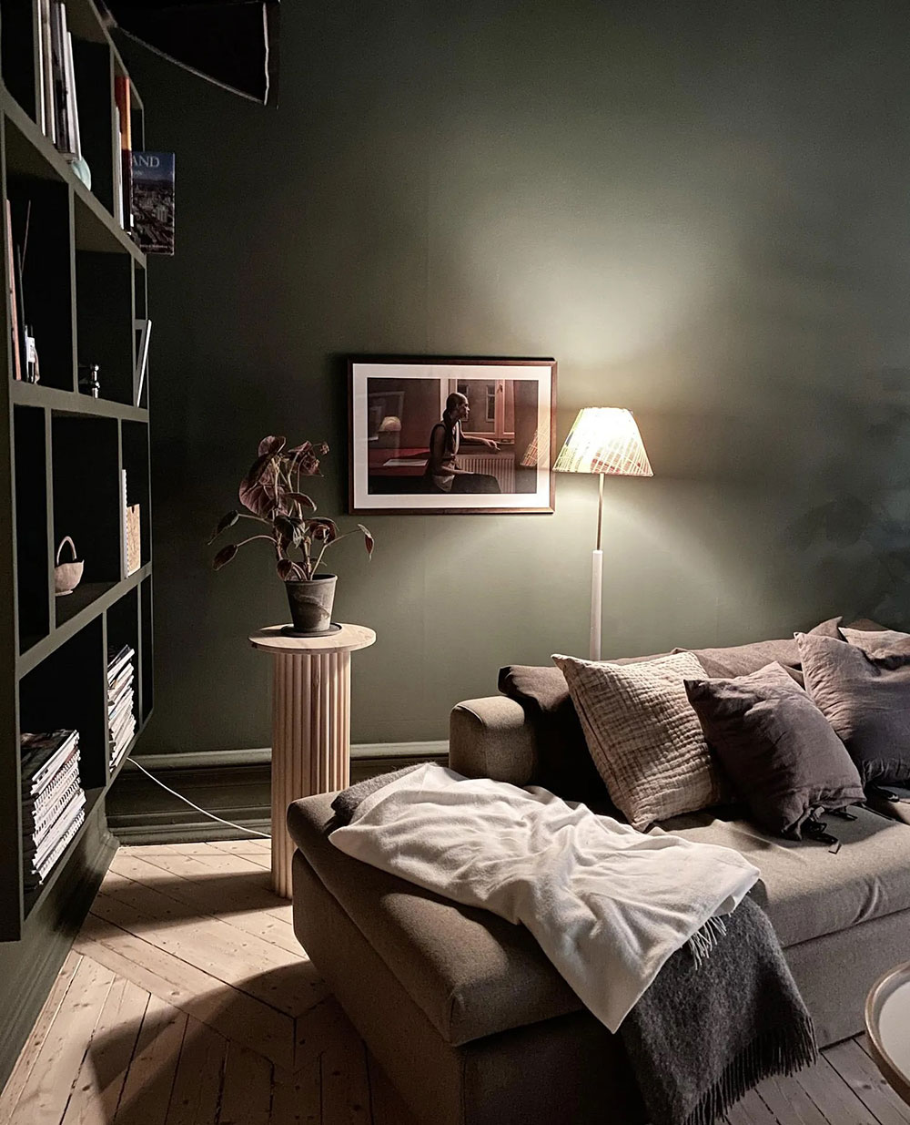 瑞典大胆绿色公寓设计，充满戏剧性魅力-5