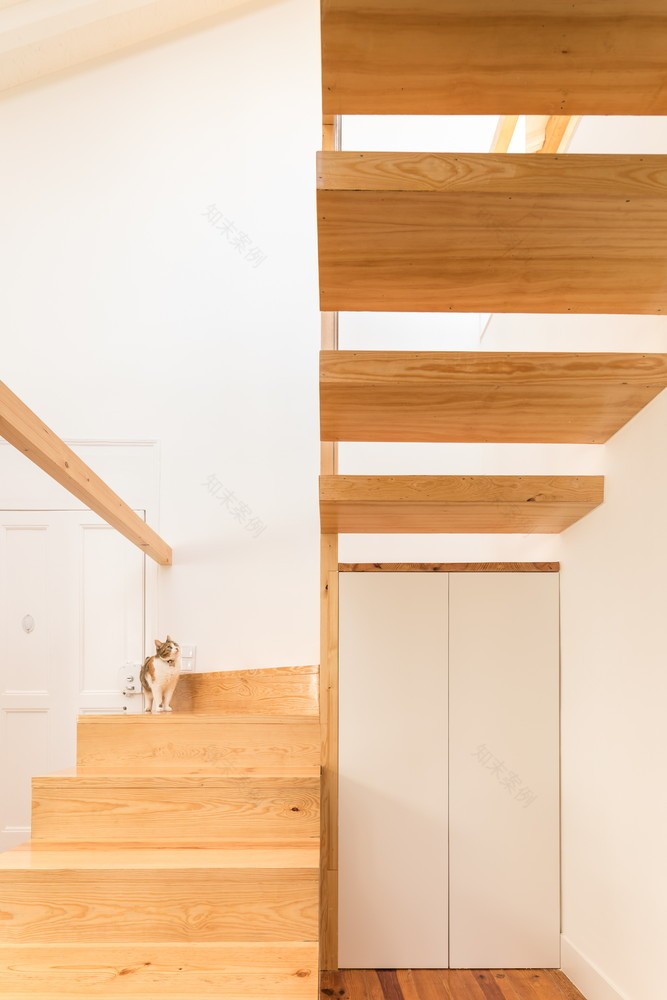 1914 年抽屉式建筑翻新公寓-54