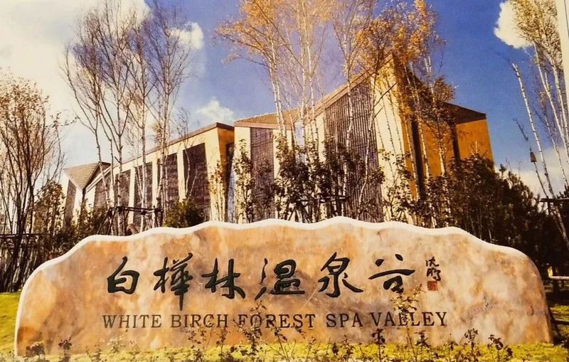 涞源白石山华中小镇二期·白桦林温泉谷竹里馆丨中国河北-8