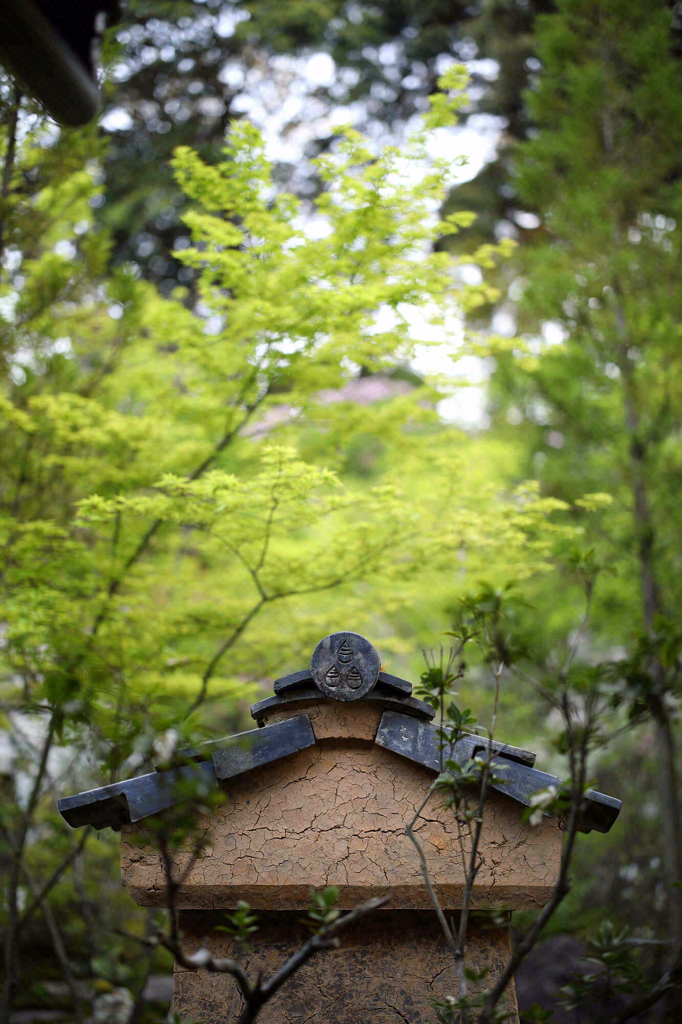 德荣寺 紫音庵丨日本福冈丨Masumi Yanase Architect Office-96