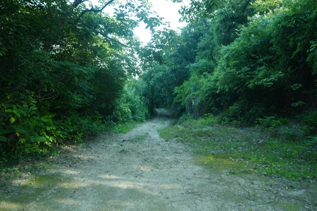 Yang Zhao  VISUAL ARTS-4