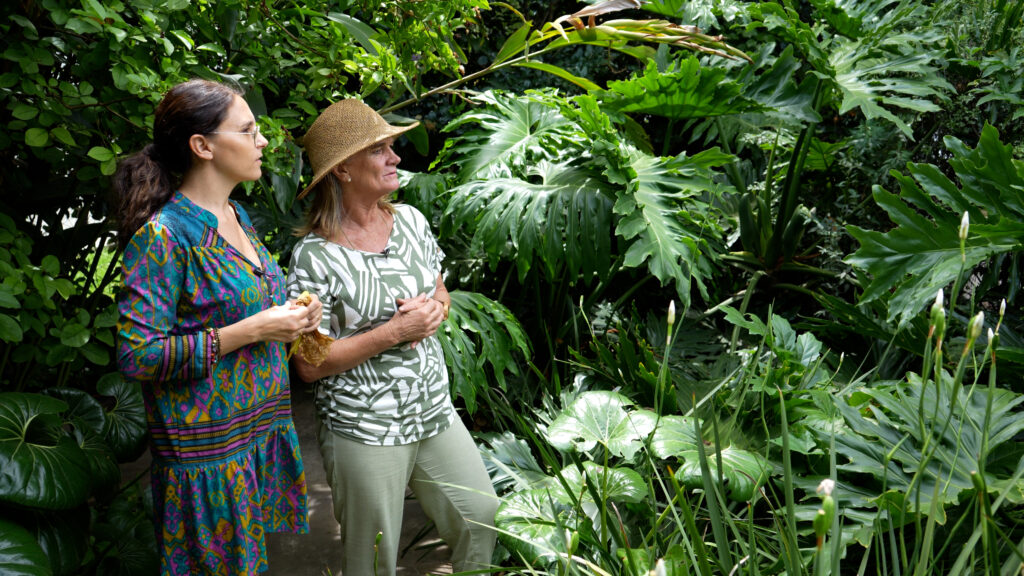 适应家庭需求的花园景观项目丨阿根廷布宜诺斯艾利斯-13