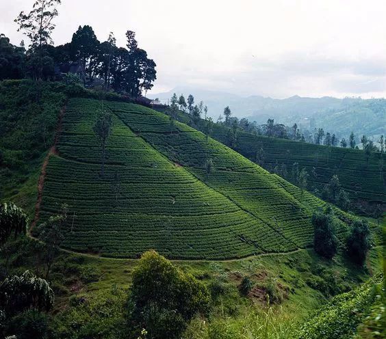 一同山居雷恩(北京)建筑设计有限公司-7