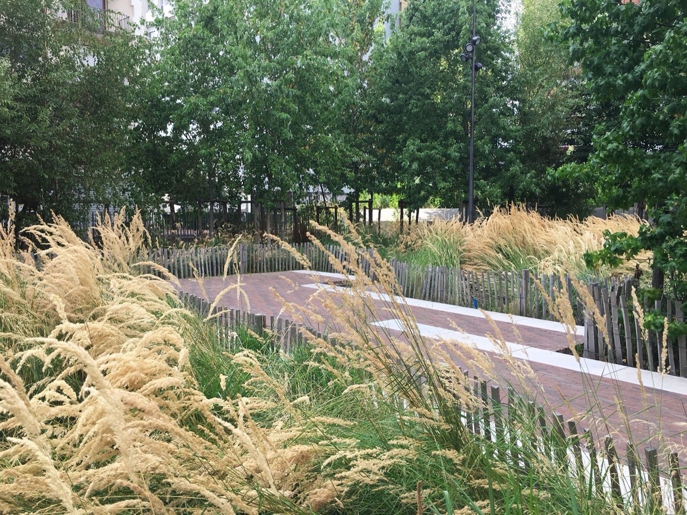 巴黎花园上的草地丨法国巴黎丨PRAXYS-6