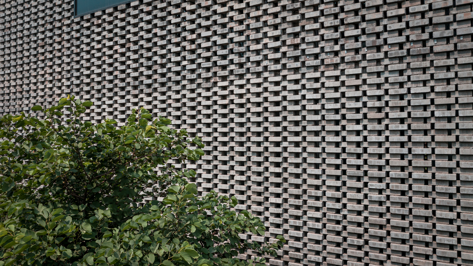 双家庭住宅的通透设计-22