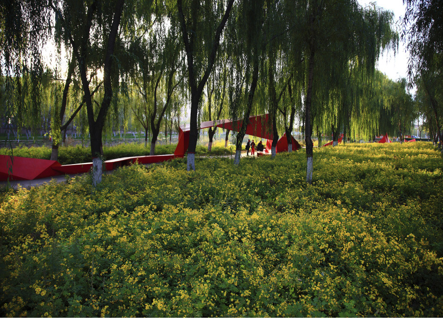 访谈专辑第十二期 - 俞孔坚-110