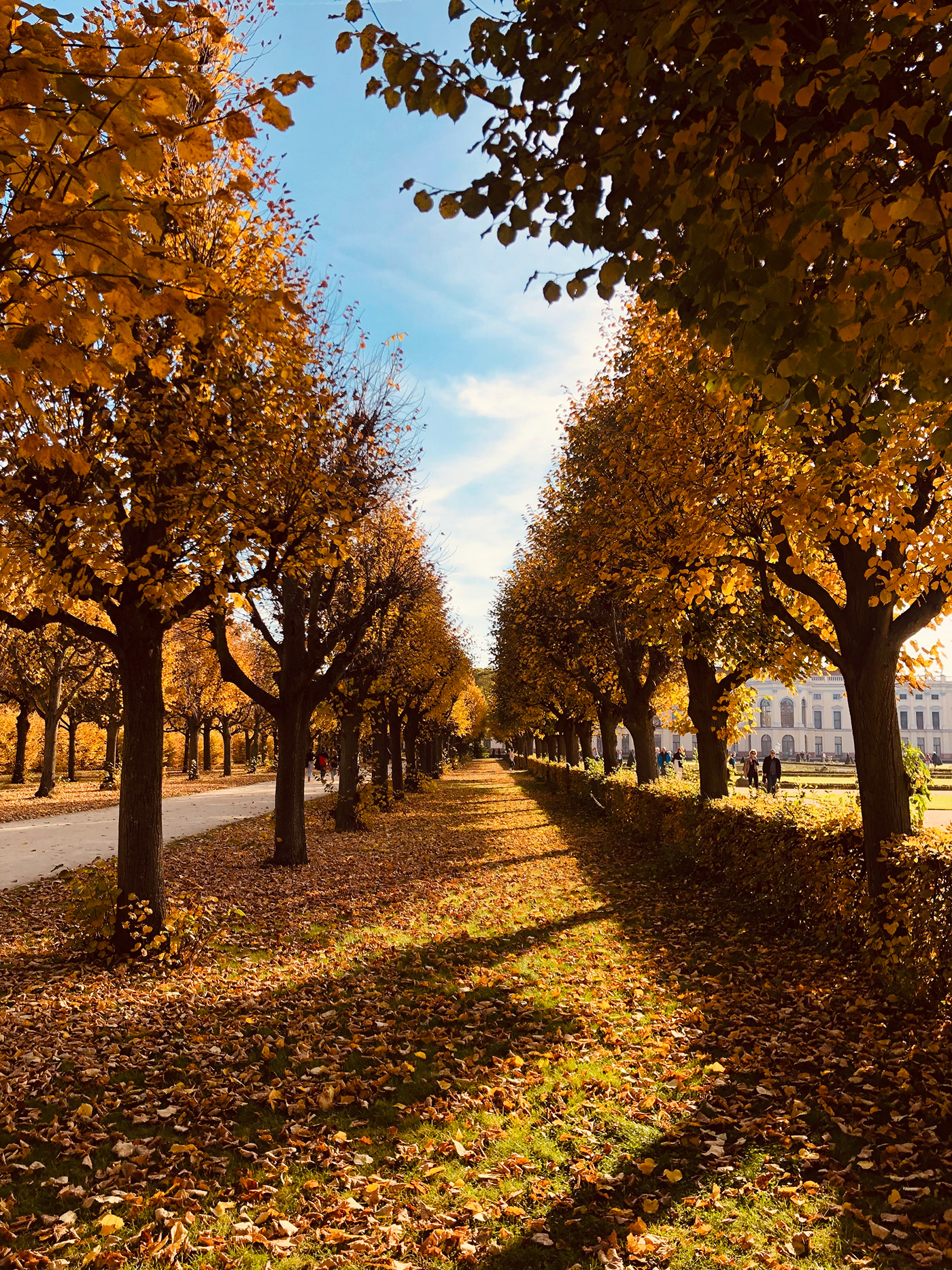 B E R L I N 2021-22-3