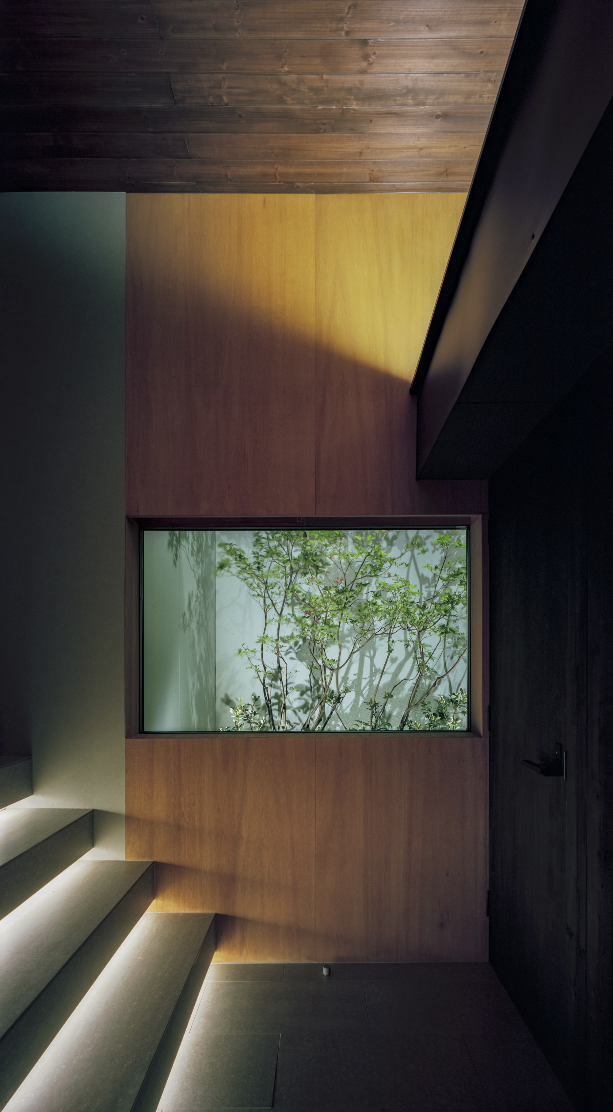 藤枝的房子丨日本丨FujiwaraMuro Architects-23