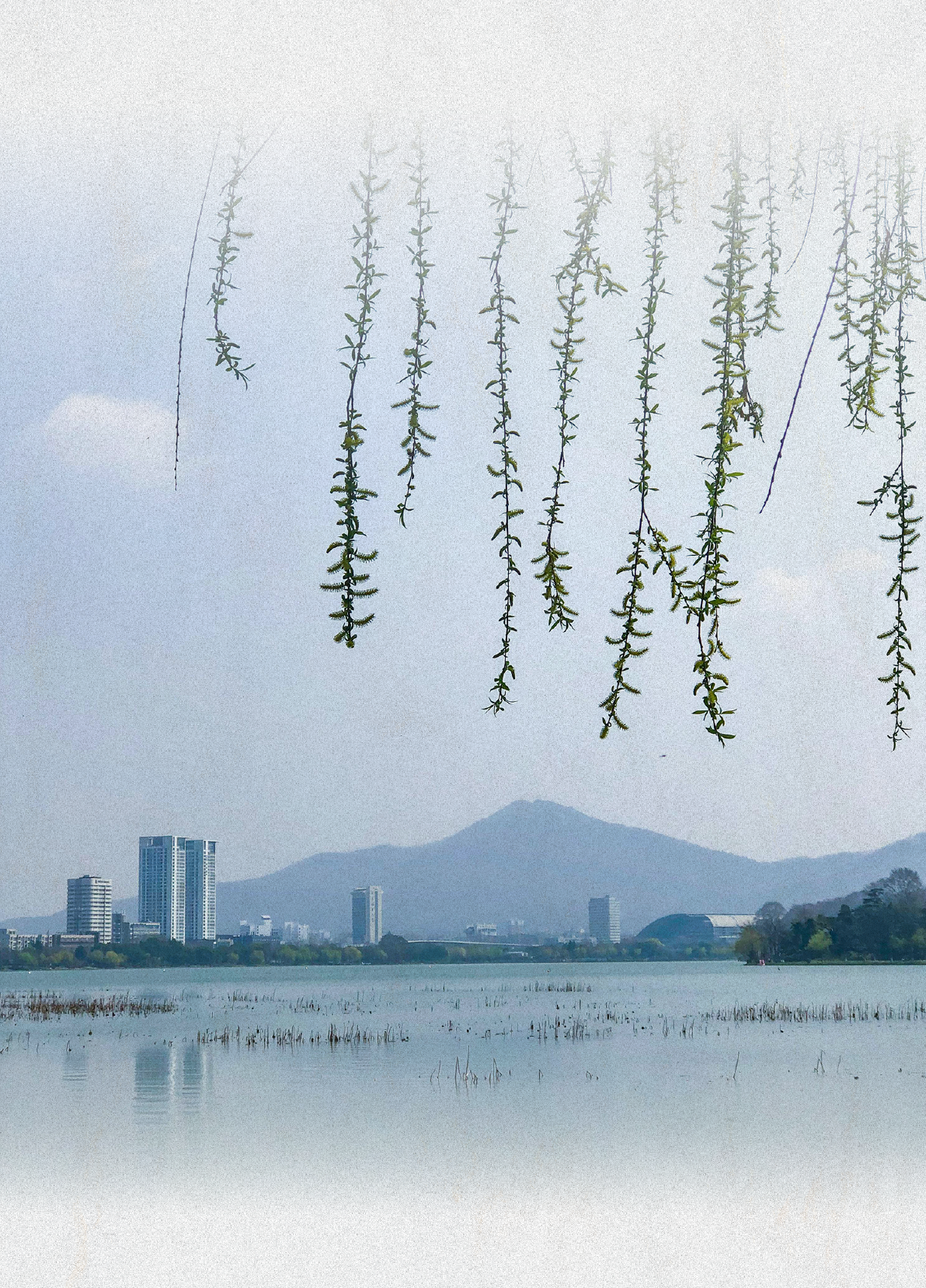 南京明怡美憬阁精选酒店丨中国南京丨ONE HOUSE DESIGN壹舍设计-17