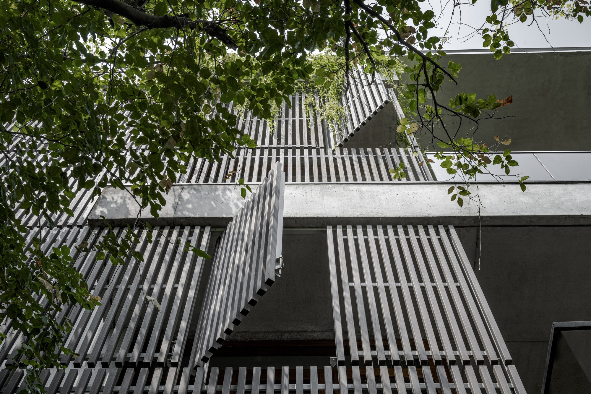 公园旁的房屋丨印度班加罗尔丨STUDIO MOTLEY-28