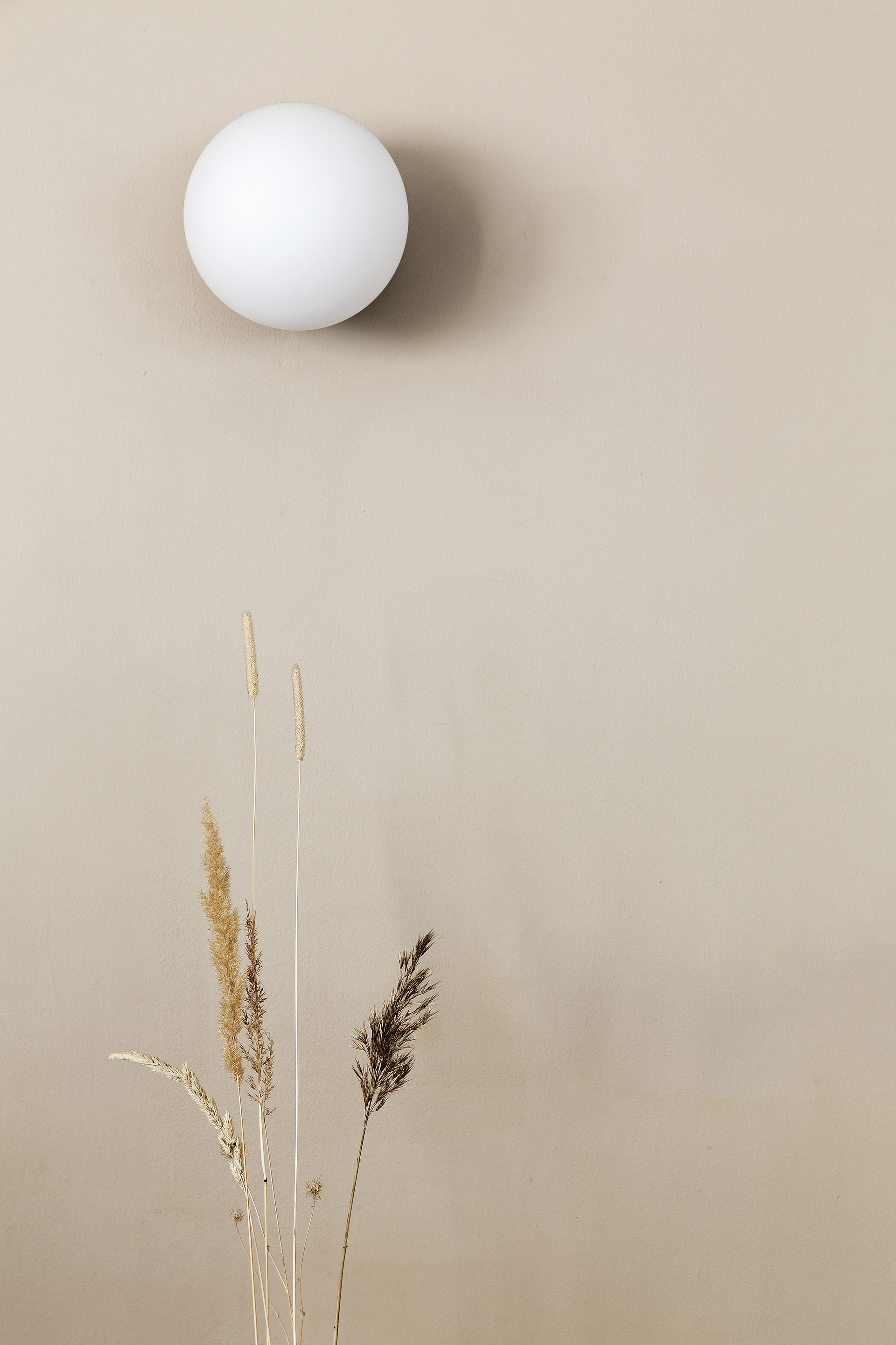 圣阿咖啡馆丨Anna Koroleva-7