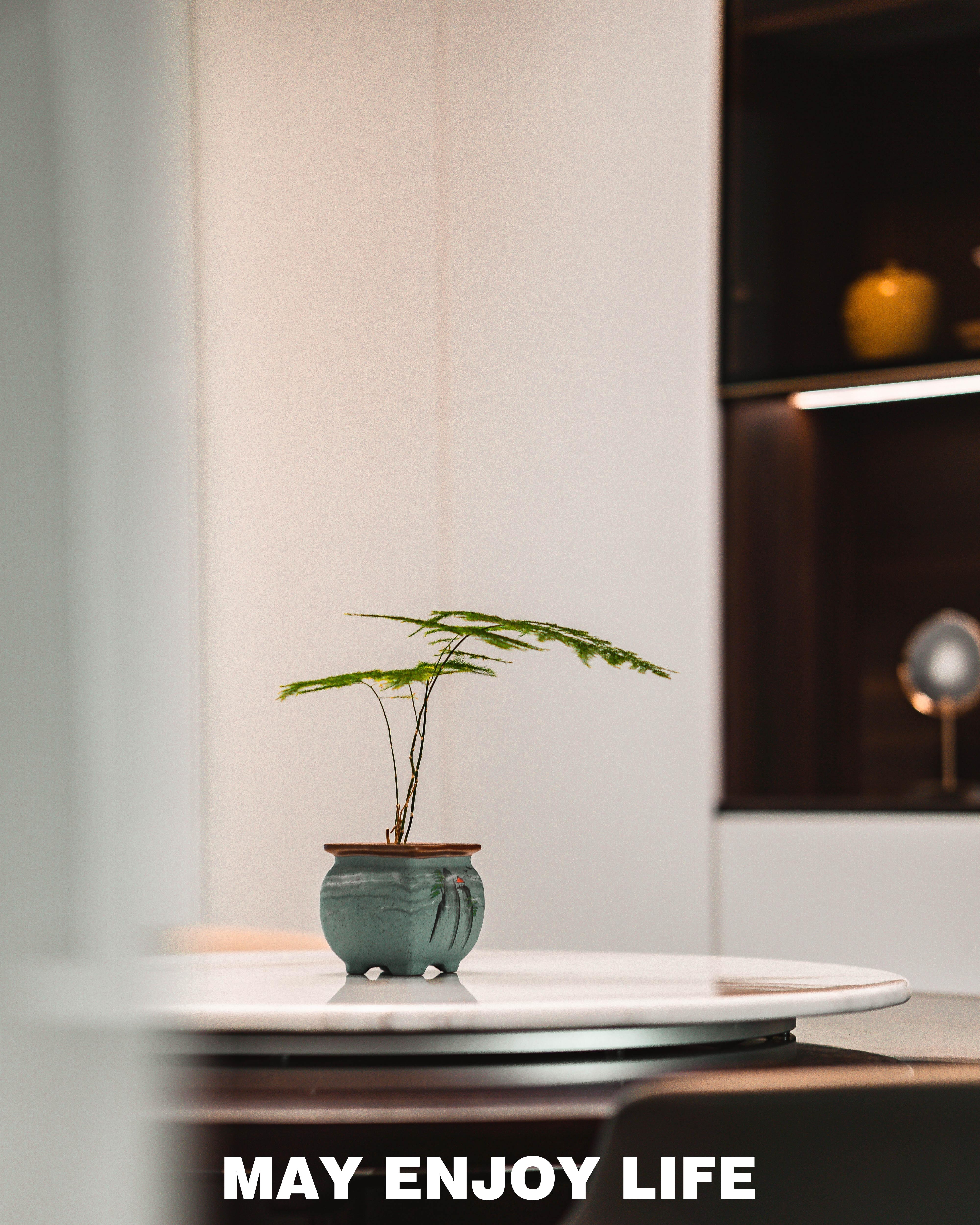 质·静丨MEL 团队-13