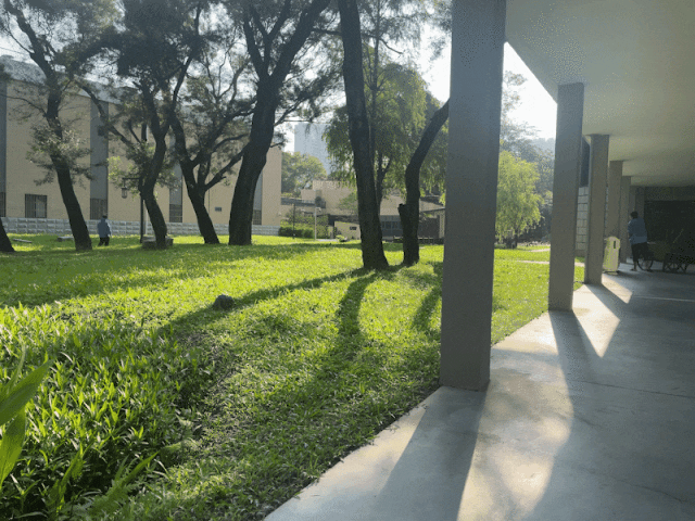 「红」•经典潮菜(深圳店)丨中国深圳丨AD 艾克建筑设计-13