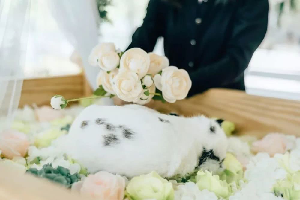 2021中国设计趋势·未来家居的四个故事丨YANG DESIGN-69